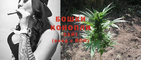 mix Бородино