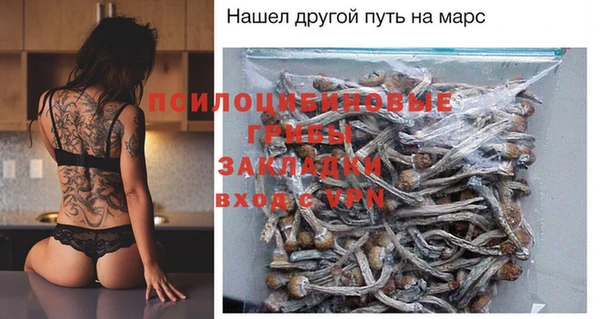 mix Бородино