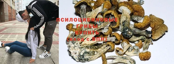 ALPHA PVP Бугульма