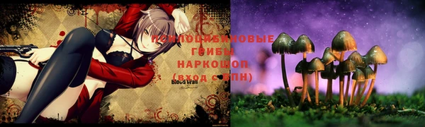 герыч Бронницы